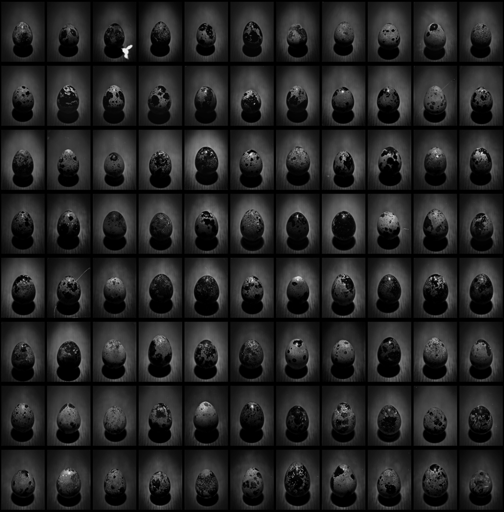 Polyptych Cōnstēllātiō